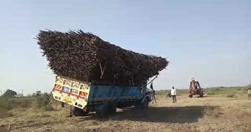 overloaded sugarcane truck