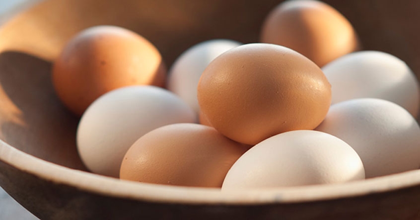 benefits of eating egg 