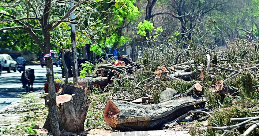 prevent-tree-cutting-dattatrayanagar-park - Abhijeet Bharat