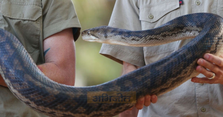 girl-rescued-after-being-trapped-by-snake-amravati - Abhijeet Bharat