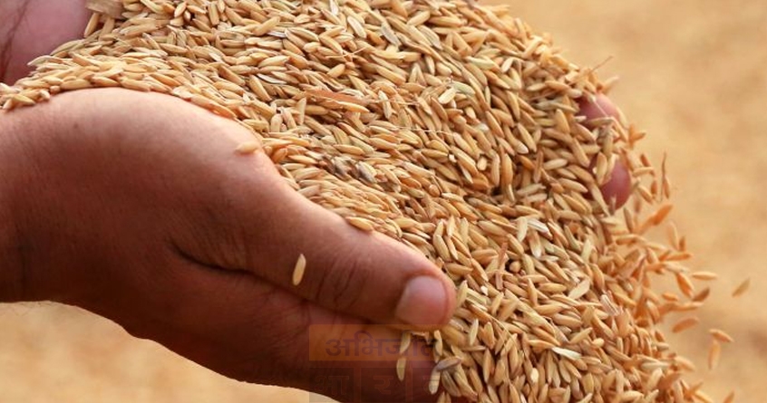 rice-procurement-initiative-maharashtra - Abhijeet Bharat