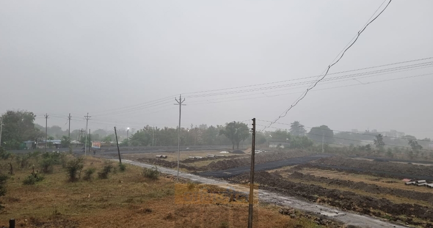 nagpur-rainfall-impact-vidarbha-agriculture-crop-damage - Abhijeet Bharat