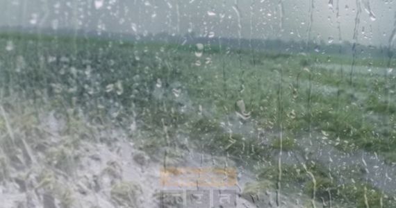 Yavatmal : विदर्भ में लगातार तीसरे दिन मूसलाधार बारिश; बेमौसम बारिश से किसानों पर संकट