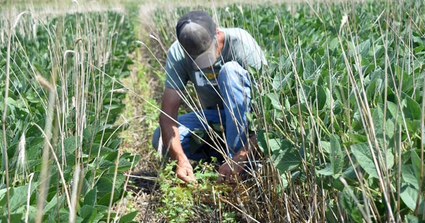 agriculture-bill-leads-to-service-center-closures - Abhijeet Bharat
