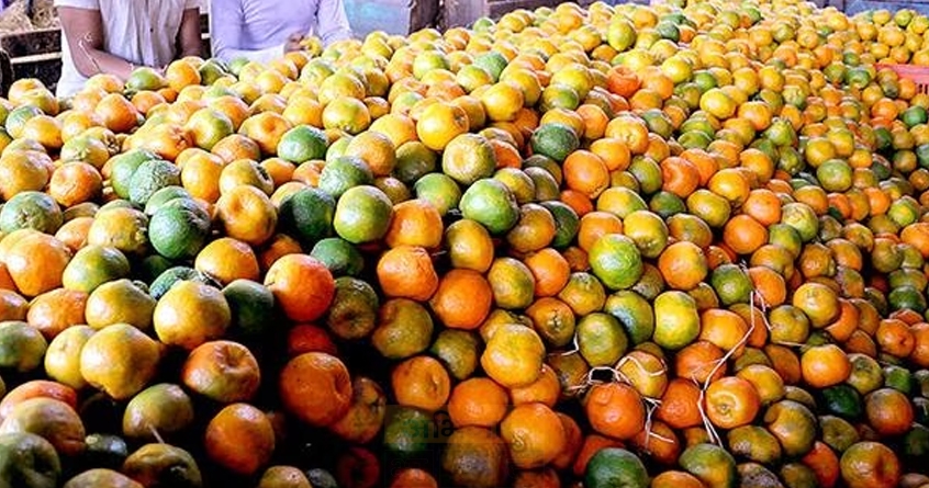 An important decision for orange growers - Abhijeet Bharat
