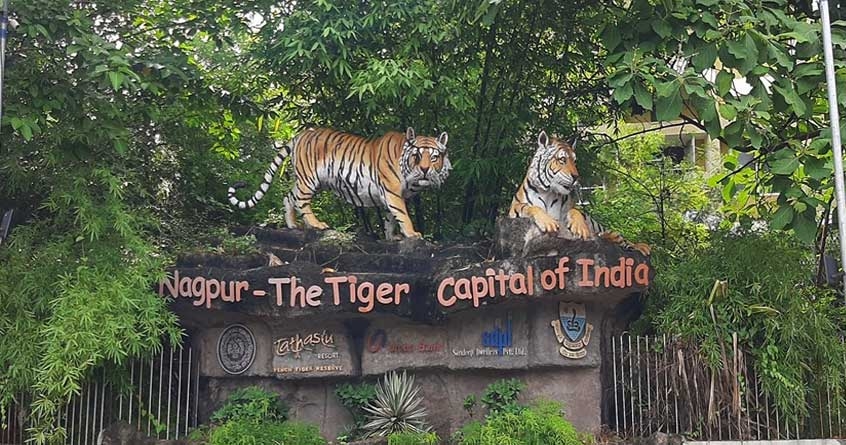 nagpur tiger capital of india