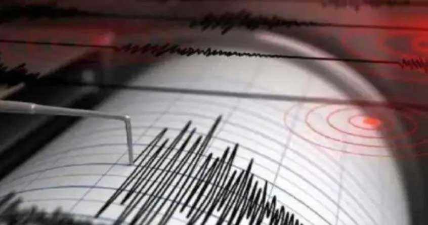 earthquake hits new zealand