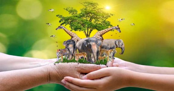 World Wildlife Day : वन्यजीवांचे संरक्षण करणे आपले कर्तव्य