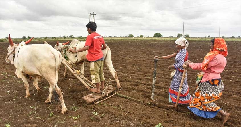 State Level Kharif Season Crop Competition