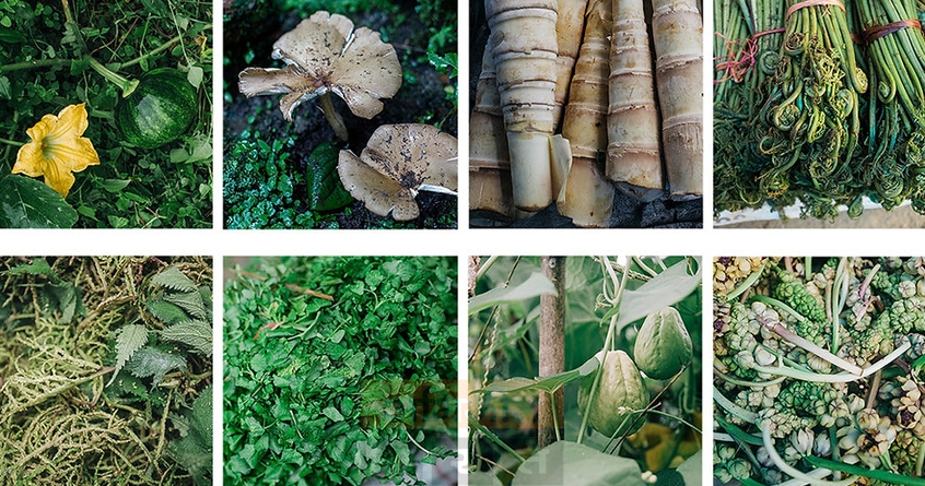 Vegetables - Abhijeet Bharat
