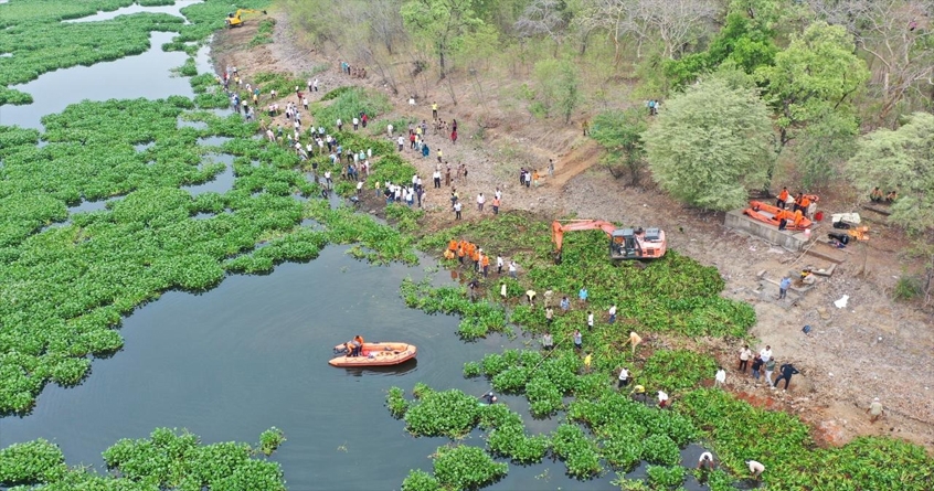 efforts to rid historic ambazari lake of jalparni