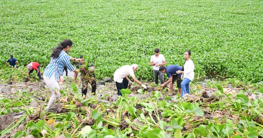 efforts to rid historic ambazari lake of jalparni