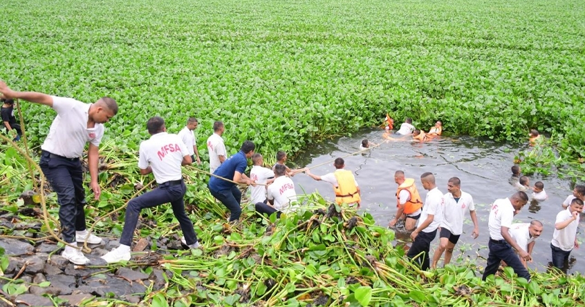 efforts to rid historic ambazari lake of jalparni