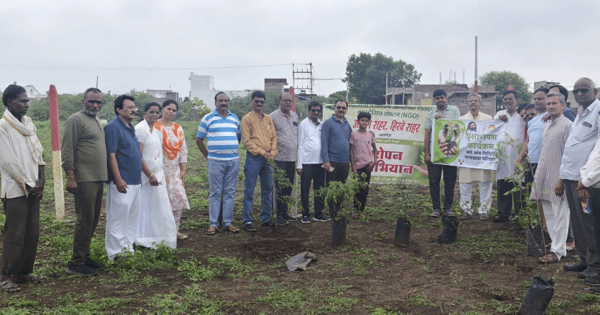 tree plantation