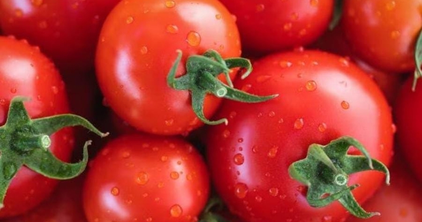 Tomato Prices Rise Again