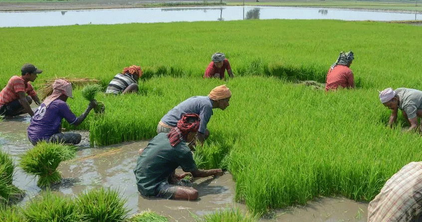 PM Crop Bima Yojana