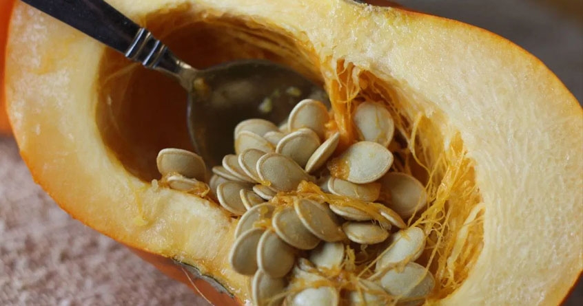 Dry fruits are an excellent source of vitamin b12 for vegetarians