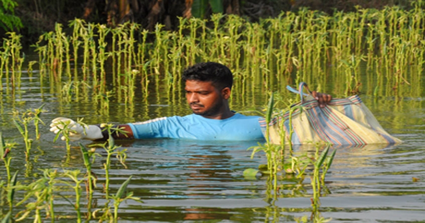 farmers affected by heavy rains