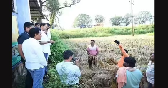 भंडाऱ्यातील शेतकऱ्यांना मोठा दिलासा; अतिवृष्टिग्रस्तांना सरकारकडून हेक्टरी १० हजारांची मदत