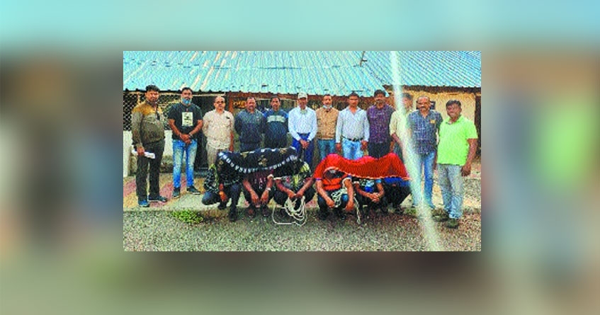 Khaparkheda picnic attack