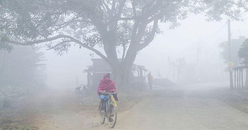 Cold wave continues in Maharashtra