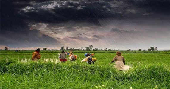 शेतकऱ्यांसाठी दिलासा; महाराष्ट्रात मान्सून लवकर दाखल होण्याची शक्यता