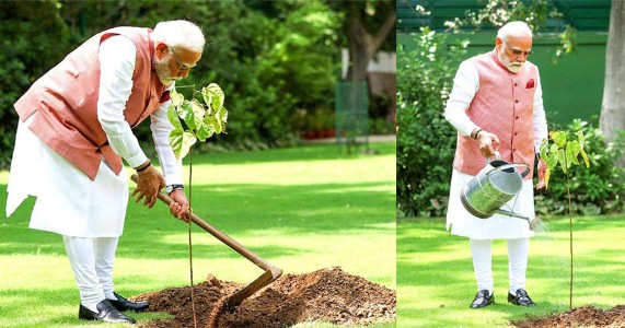 पंतप्रधान मोदींनी दिल्लीतील निवासस्थानी पर्यावरण दिनी सिंदूर झाडाचे लावले रोप!