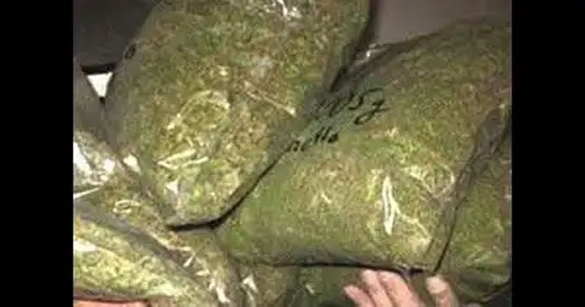 ganja