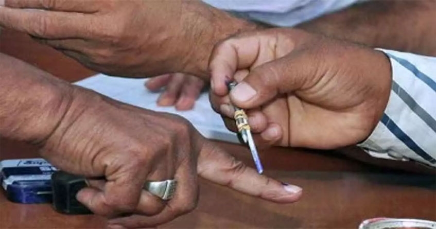 Local body elections