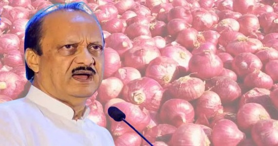कांद्याच्या दरावरून संताप;अजित पवारांकडे फेकली कांद्याची माळ, संभाजी ब्रिगेडच्या दोन नेत्यांना अटक