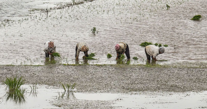 Heavy rain Farmers