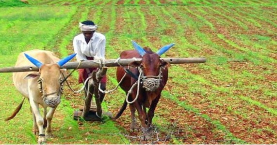 कर्जमाफीच्या चौथ्या यादीत १.१५ लाख शेतकऱ्यांची नावे; १३ हजार कोटींहून अधिक रक्कम वितरित