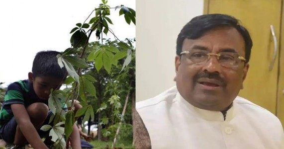 कर्जतमधील वृक्षतोडीवरून सरकारची कोंडी; सुधीर मुनगंटीवारांचा पर्यायी जागेचा आग्रह!