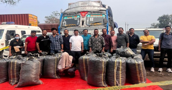 नागपुरात अँटी नार्कोटिक्स पथकाची धडाकेबाज कारवाई; ५०५ किलो गांजा हस्तगत