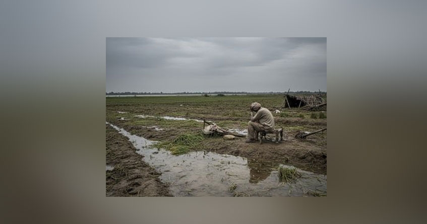 Unseasonal rains Farmers