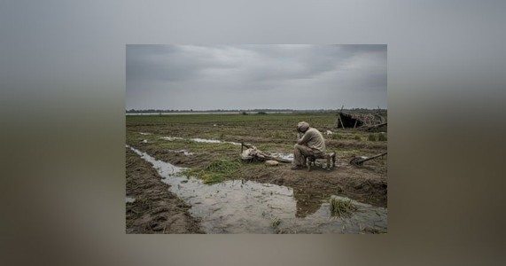 अवकाळी पावसाचा राज्यात धुमाकूळ; मराठवाडा-विदर्भातील शेतकरी हवालदिल