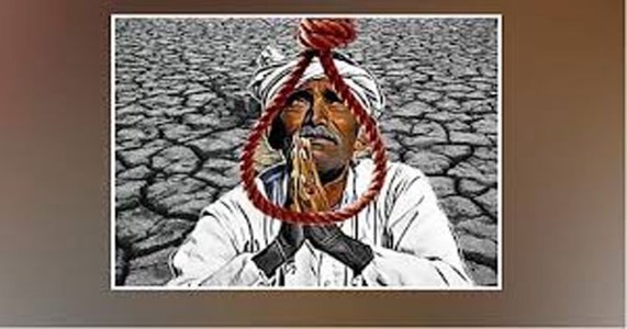 विदर्भ–मराठवाड्यात शेतकरी आत्महत्यांची वाढती मालिका; चालू वर्षात १,९८७ घटनांची नोंद