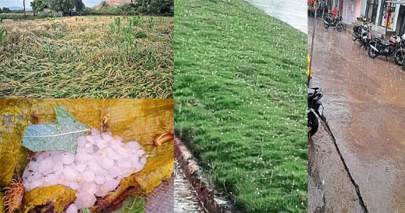 विदर्भात अवकाळी पावसाचा कहर; गारपिटीने शेतकऱ्यांचे मोठे नुकसान