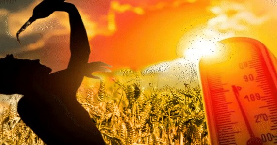 विदर्भात उन्हाचा तडाखा; तापमान ४० अंशांच्या दिशेने