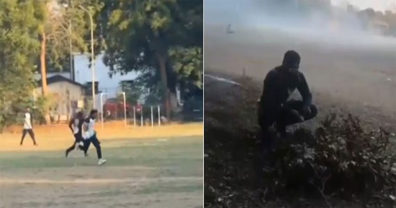 चंद्रपुरात डीजेच्या कर्णकर्कश आवाजामुळे मधमाश्यांचा हल्ला; क्रिकेट मैदानावर एकाचा मृत्यू, अनेक जखमी