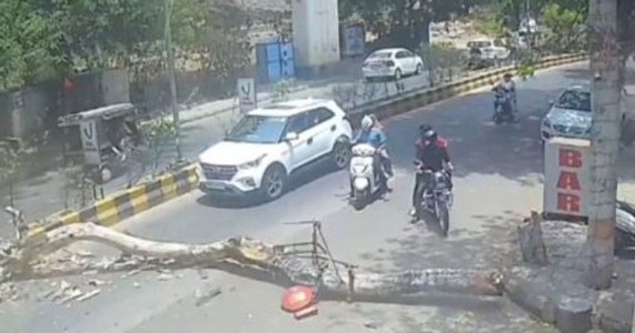 नागपूरच्या अंबाझरी तलाव रस्त्यावर मोठी दुर्घटना टळली; भरदिवसा कोसळला भलामोठा वृक्ष