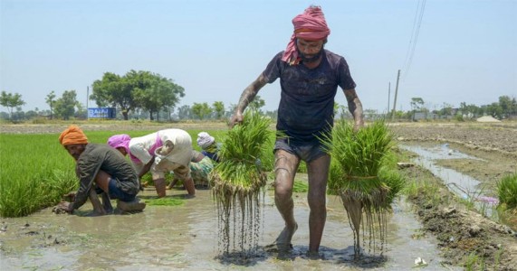 आचारसंहितेत शेतकरी कर्जमाफीला हिरवा कंदील? केंद्रीय निवडणूक आयोगाच्या निर्णयाची चर्चा