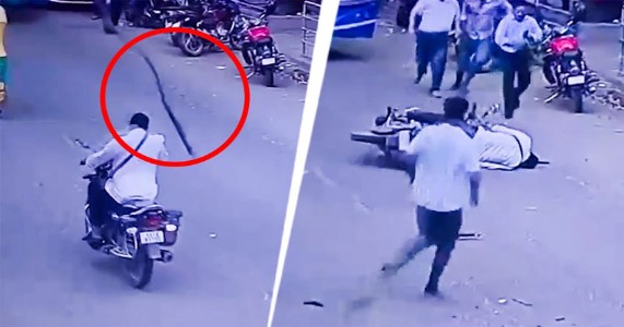 धक्कादायक! भररस्त्यात झाडाची फांदी कोसळली; दुचाकीस्वार गंभीर जखमी, सीसीटीव्हीत थरारकैद
