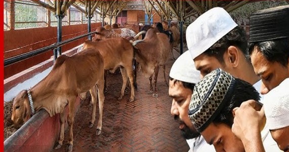 गोमातेला राष्ट्रीय पशूचा दर्जा द्या; नागपुरात मुस्लिम समाजाचे अनोखे आंदोलन