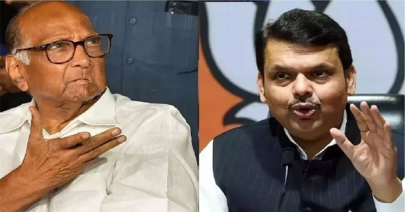 मोठी राजकीय घडामोड? राष्ट्रवादीच्या एनडीए प्रवेशासाठी भाजपची 'ही' अट चर्चेत