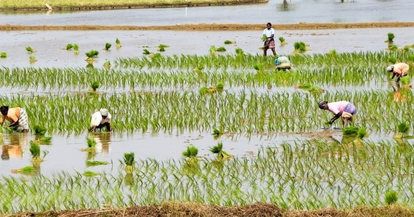 Loan waiver