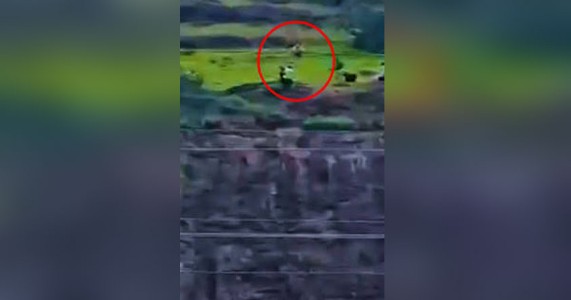 मुलाला वाचवण्यासाठी धावले आई-वडील; तिघांचाही दरीत पडून दुर्दैवी अंत