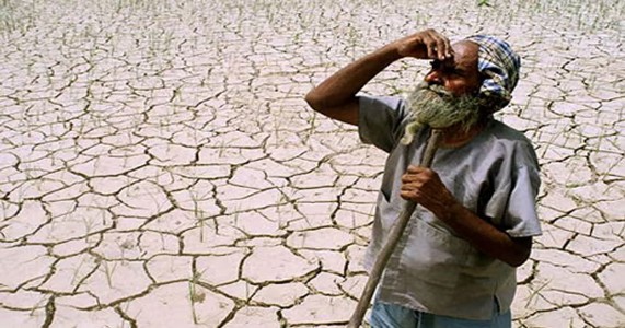दुष्काळग्रस्त शेतकऱ्यांना मोठा दिलासा; थेट बांधावर जाऊन होणार पिकांच्या नुकसानीची पाहणी