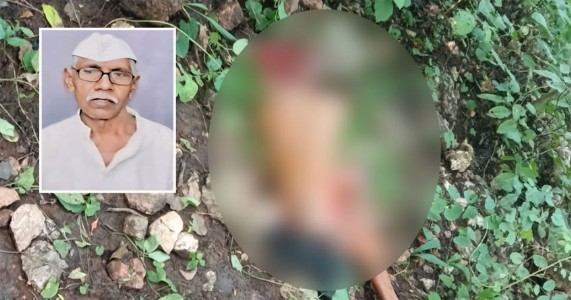 गोंदियात वाघाचा हल्ला; ७२ वर्षीय शेतकऱ्याचा मृत्यू, सडकर-अर्जुनी परिसरात दहशत