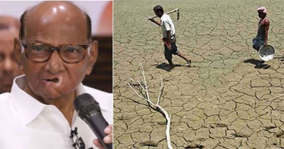 ८५ वर्षांचा योद्धा पुन्हा शेतकऱ्यांच्या बांधावर; २८ सप्टेंबरपासून शरद पवारांचा दुष्काळ दौरा